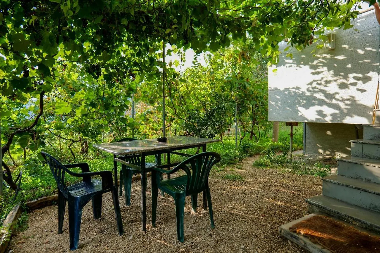 Villa Ani Borsh