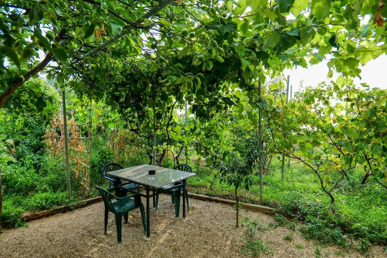 Apartment Villa Ani Borsh
