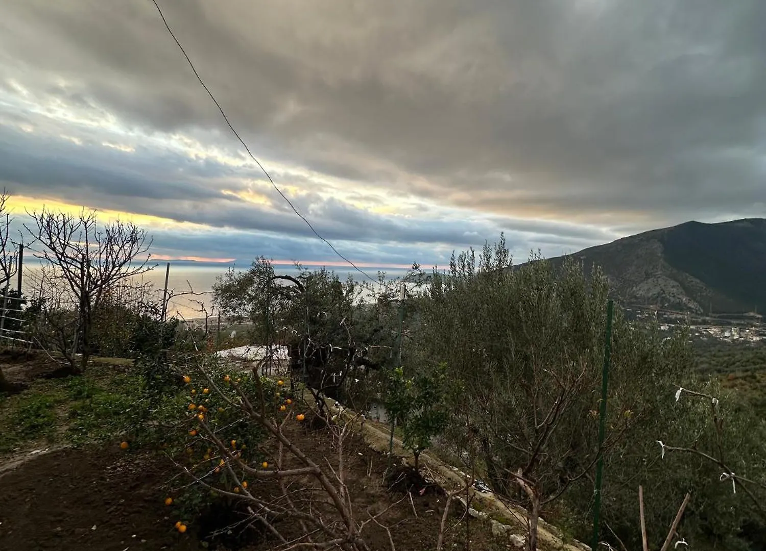 Apartment Villa Ani Borsh Albania