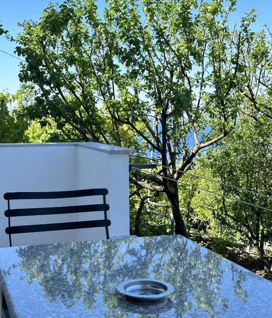 Apartment Villa Ani Borsh Albania